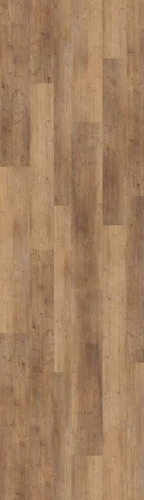 Biscayne Envoy Stair Tread