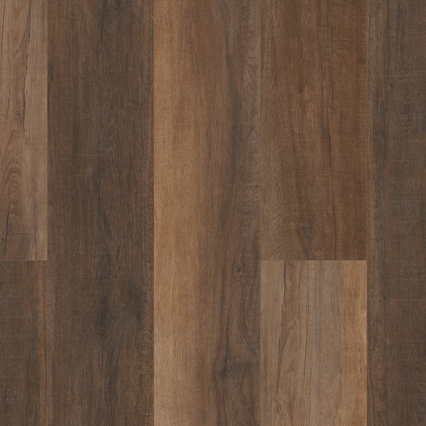 Premium | Cheshire Elm Stair Tread