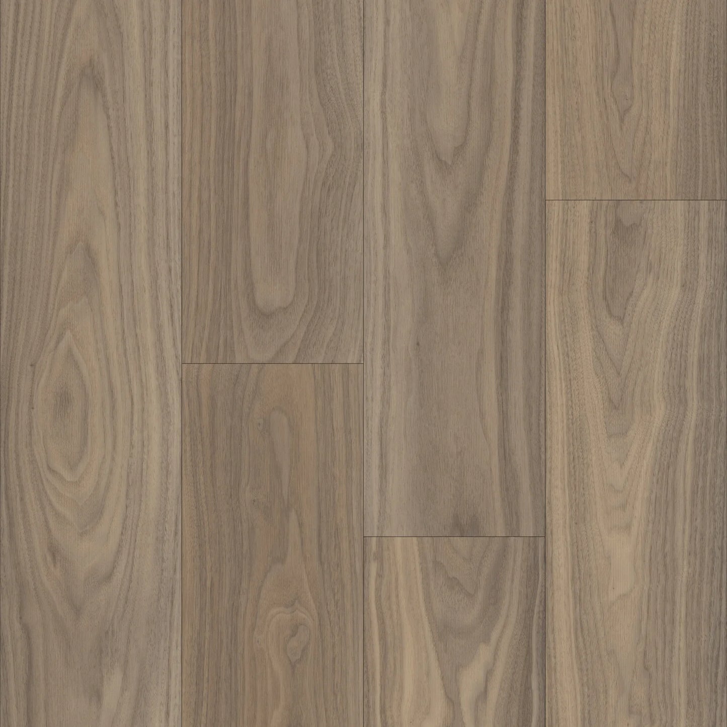 Bravo | Gabb Walnut Stair Tread
