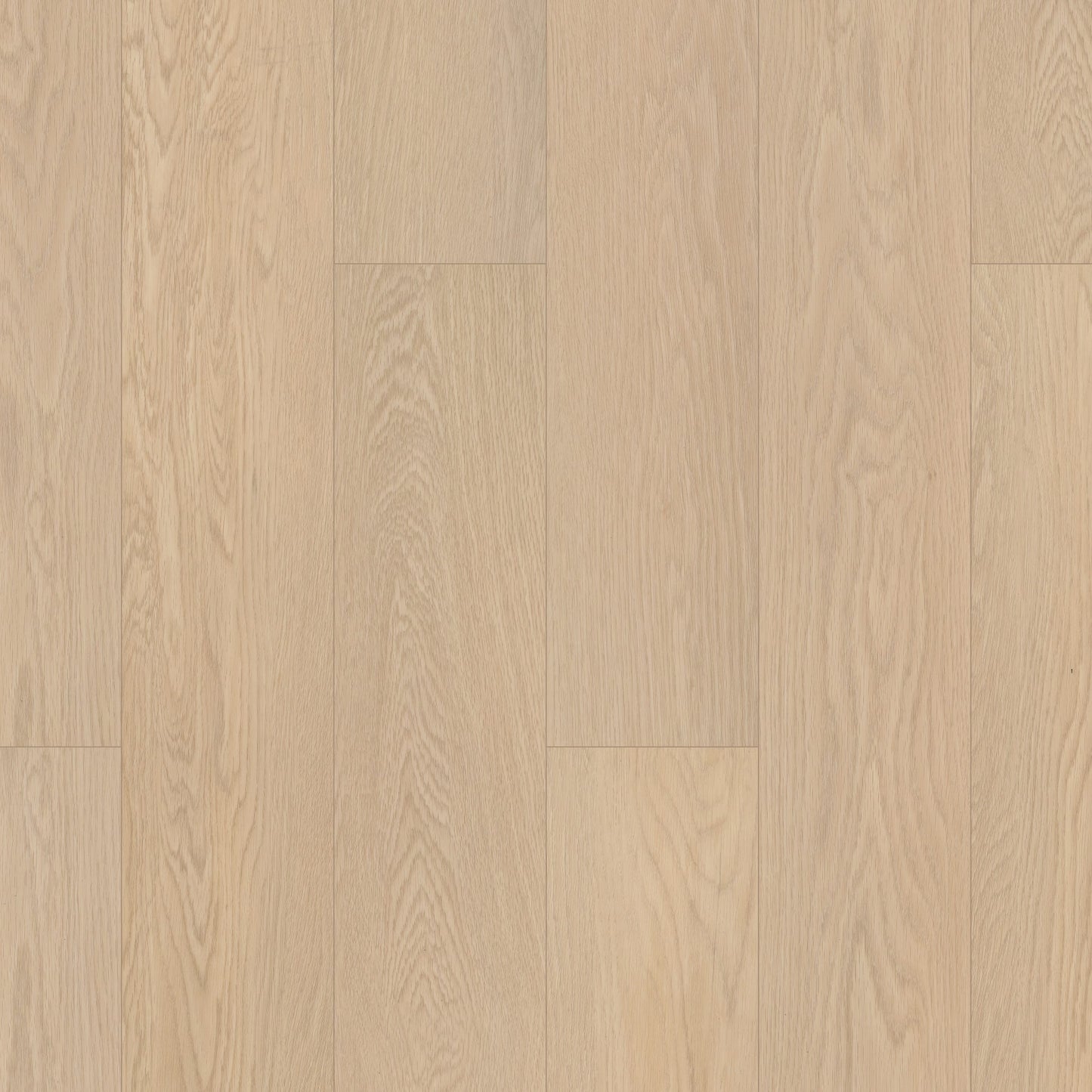 Paladin Plus | Oceanfront Stair Tread