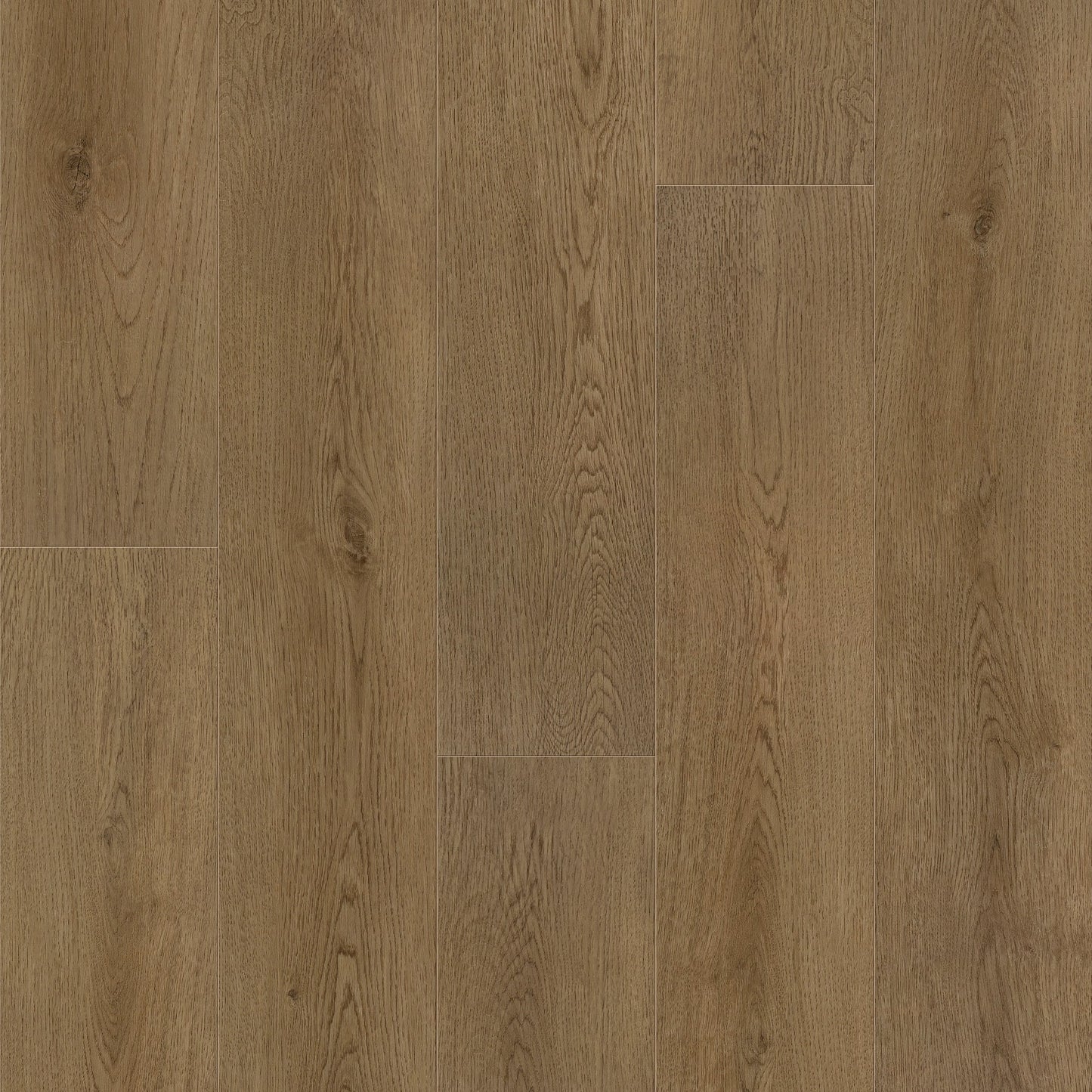 Classics 7 x 48 | Plainfield Oak Stair Tread