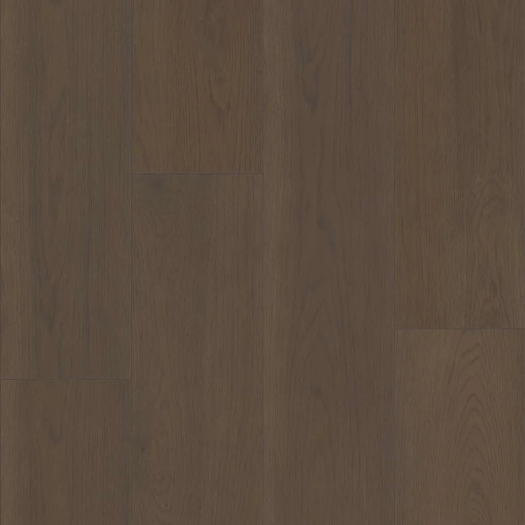 Northern Voyage 9 | Rutherford Stair Tread