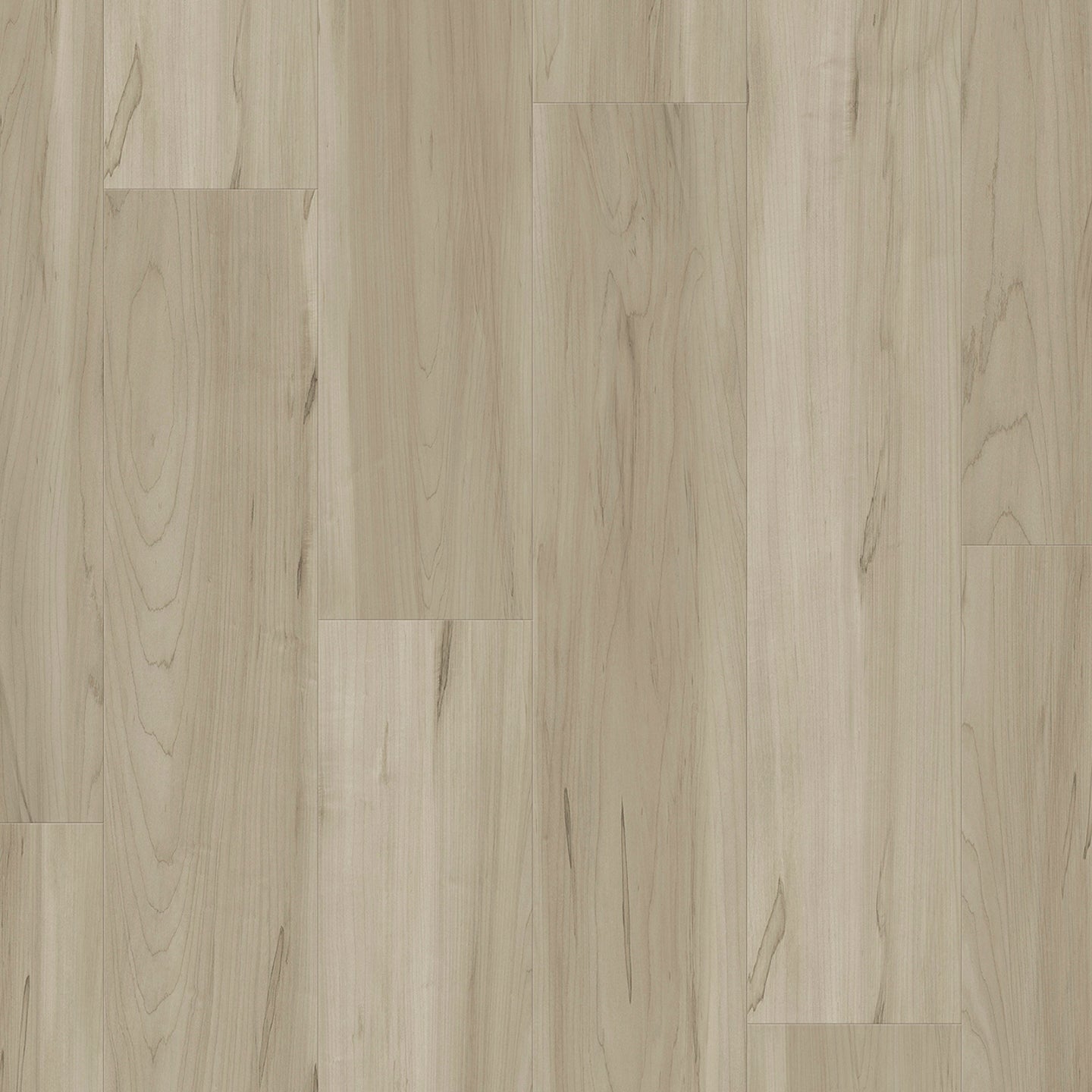 Panoramic | Sugar Maple Stair Tread
