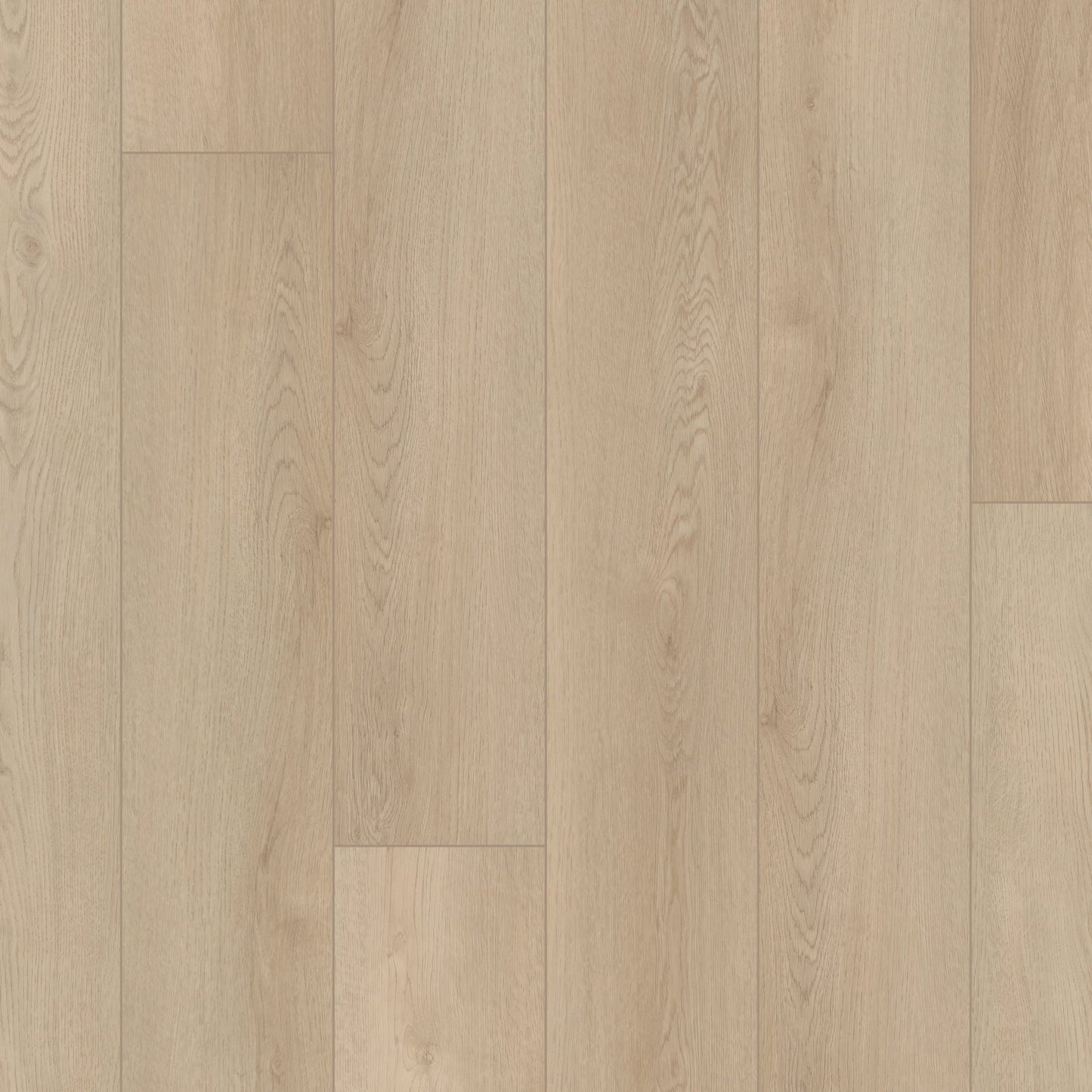 Starting Line | Sunlit Beige Stair Tread