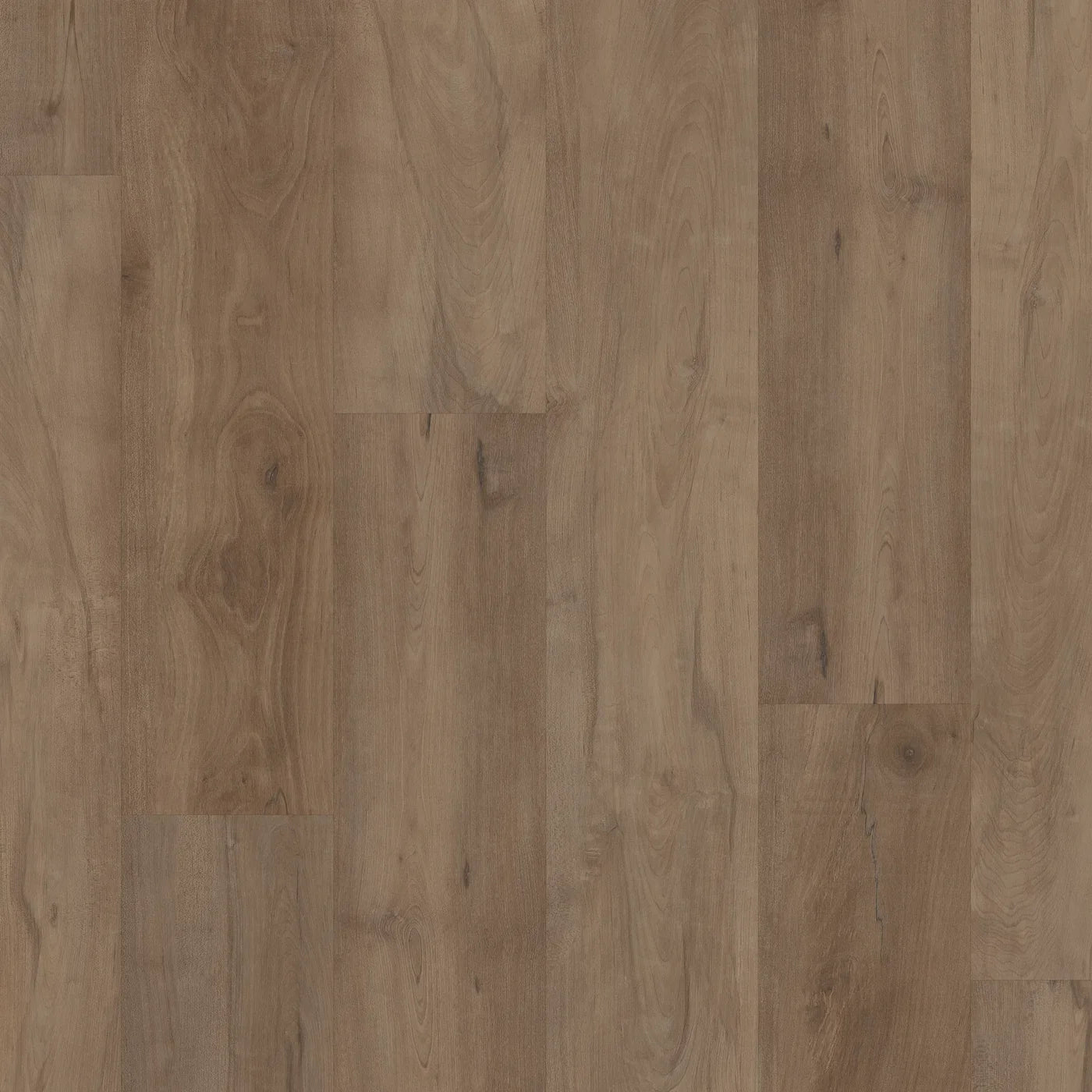 Premium | Warwick Maple Stair Tread