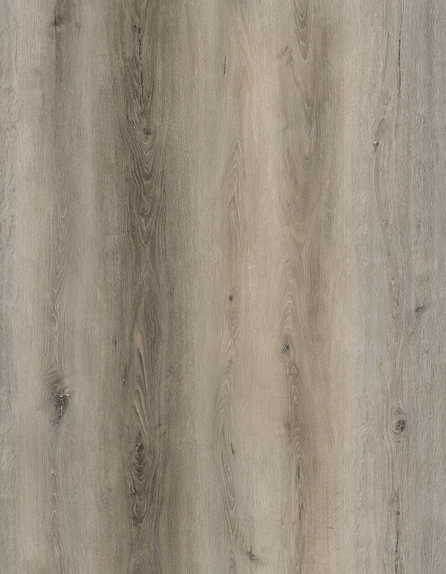 St. Augustine - Albany Stair Tread