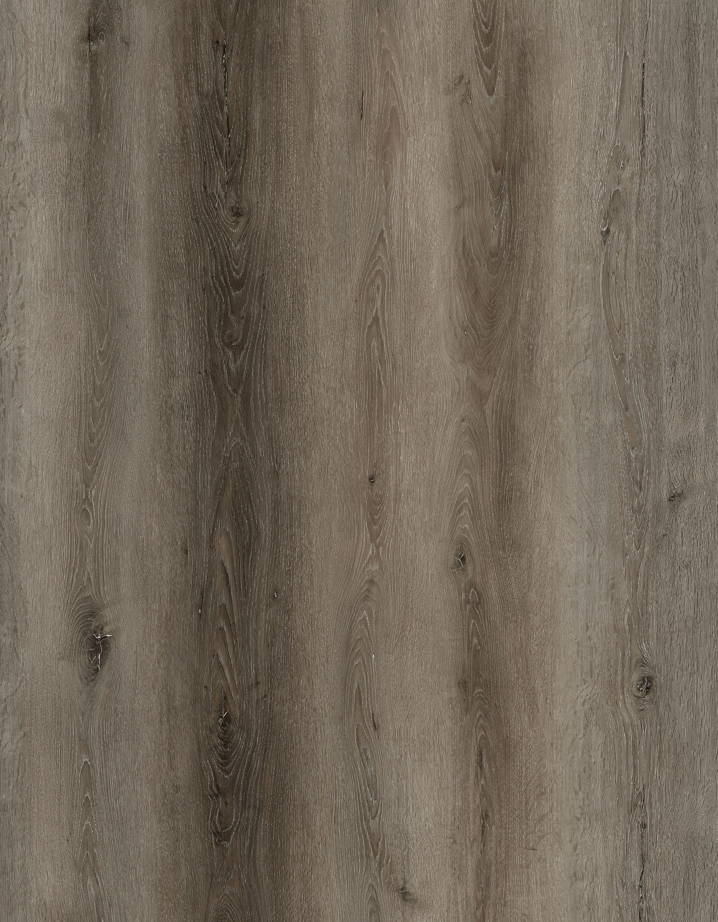 St. Augustine - Allegheny Stair Tread