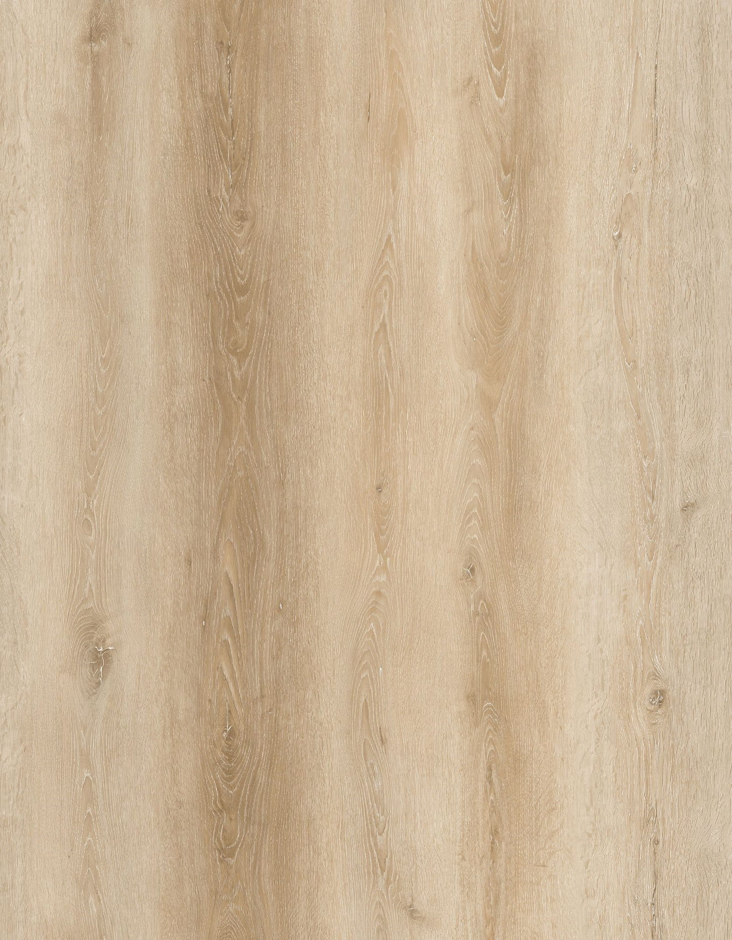 St. Augustine - Dawson Stair Tread