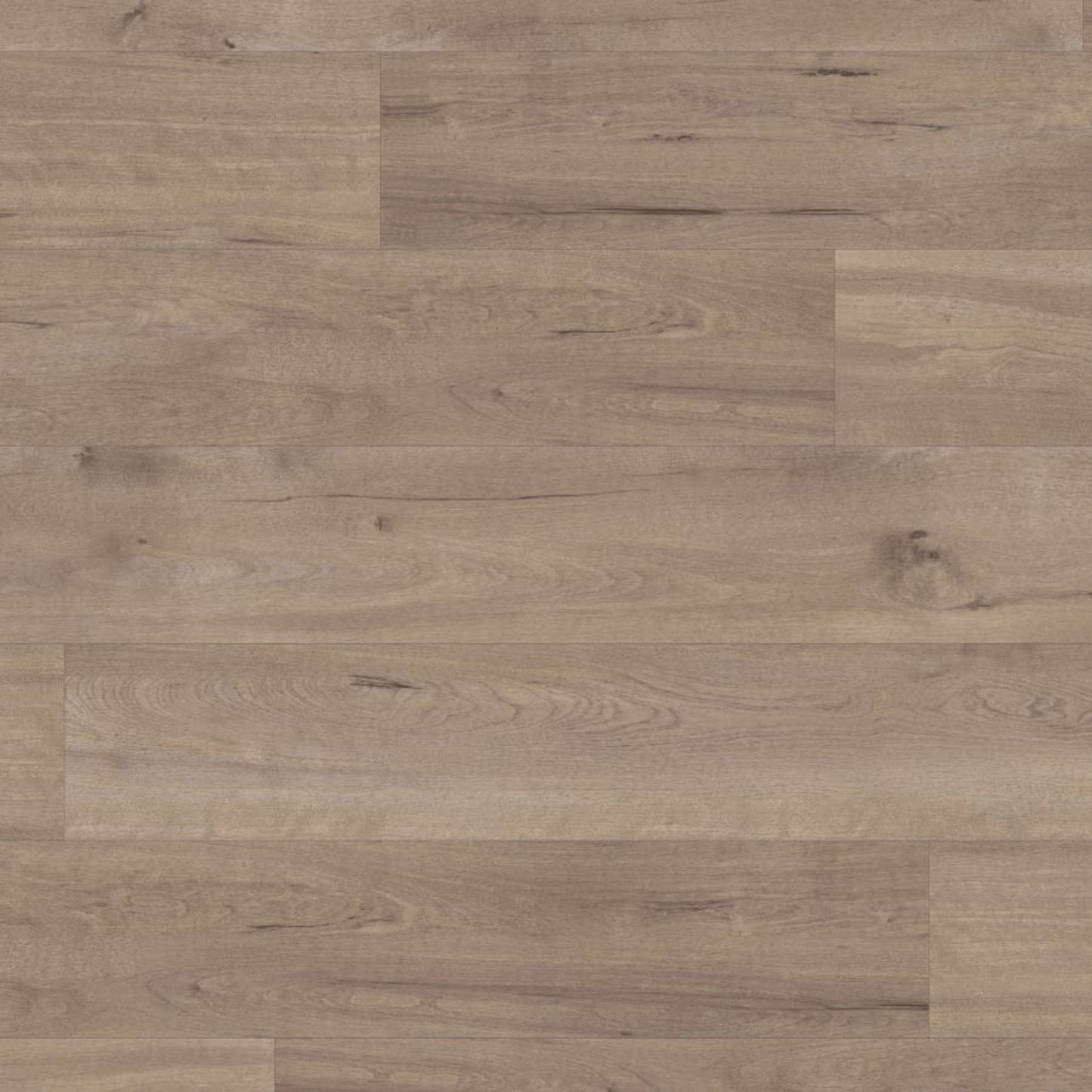 Van Gogh Frosted Birch Stair Tread