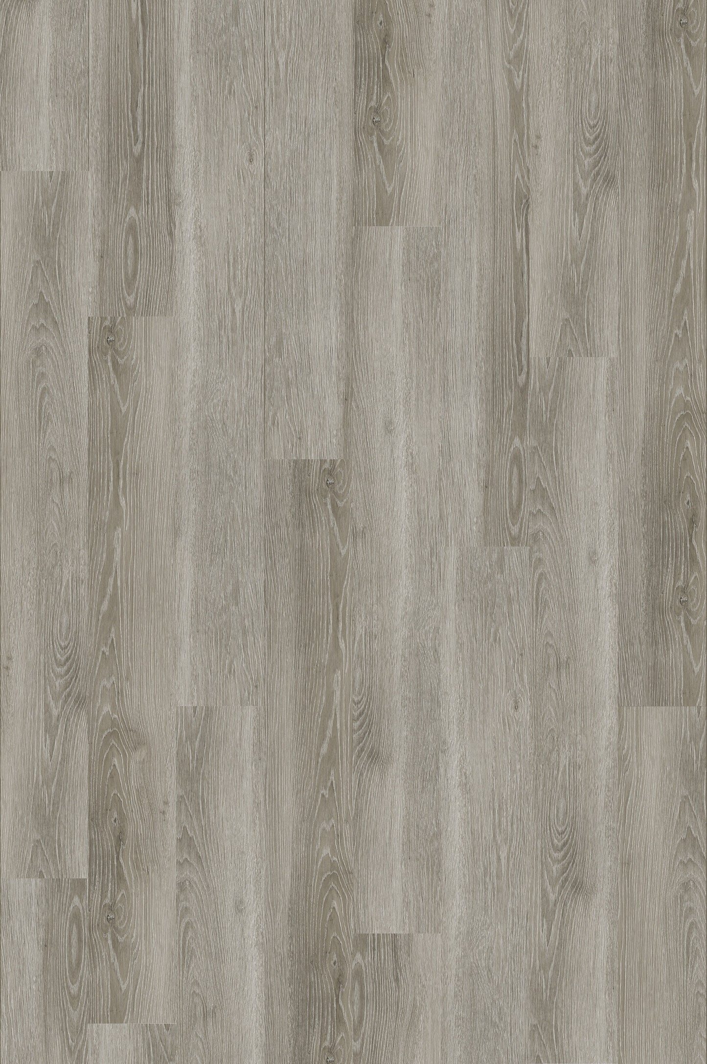 Bayboro Oak Stair Tread