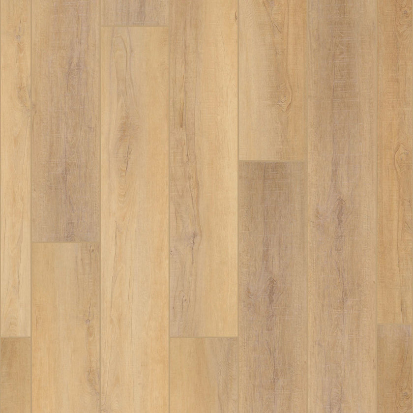 Premium | Canterbury Elm Stair Tread