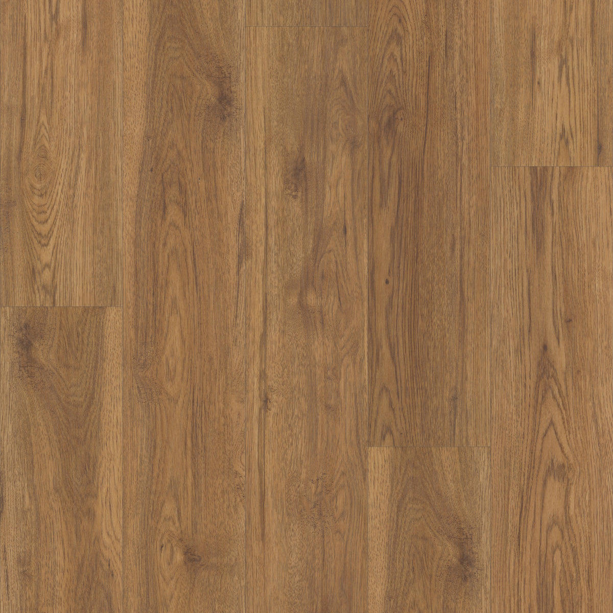 Classics | Marsh Oak Stair Tread