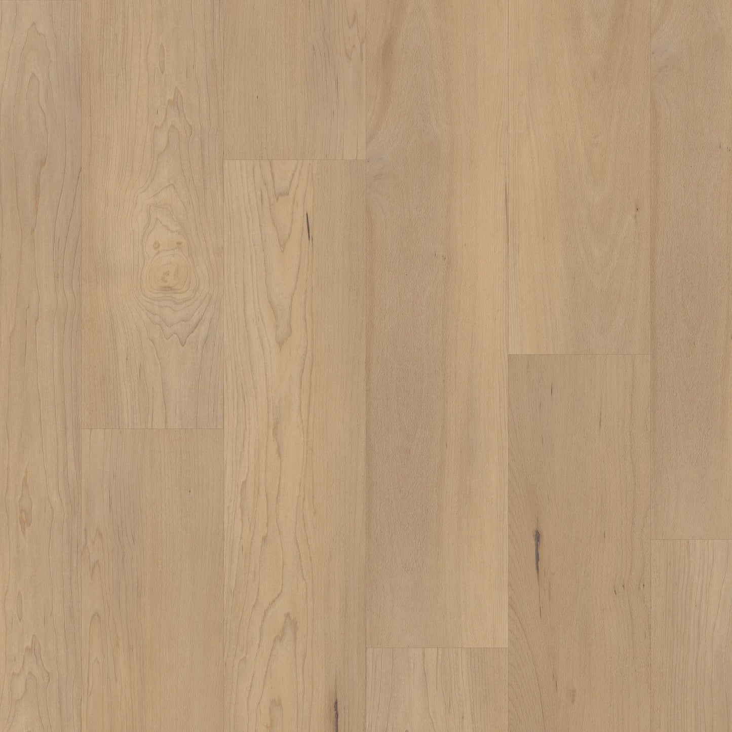 Premium | Douglas Maple Stair Tread