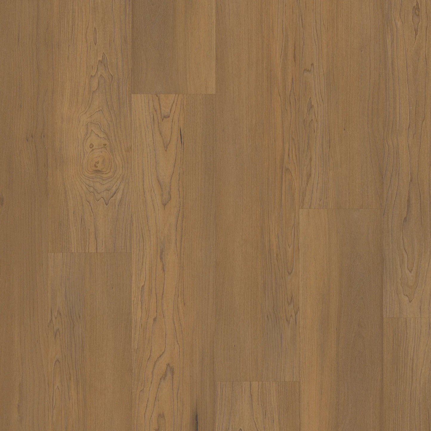 Premium | Essex Maple Stair Tread