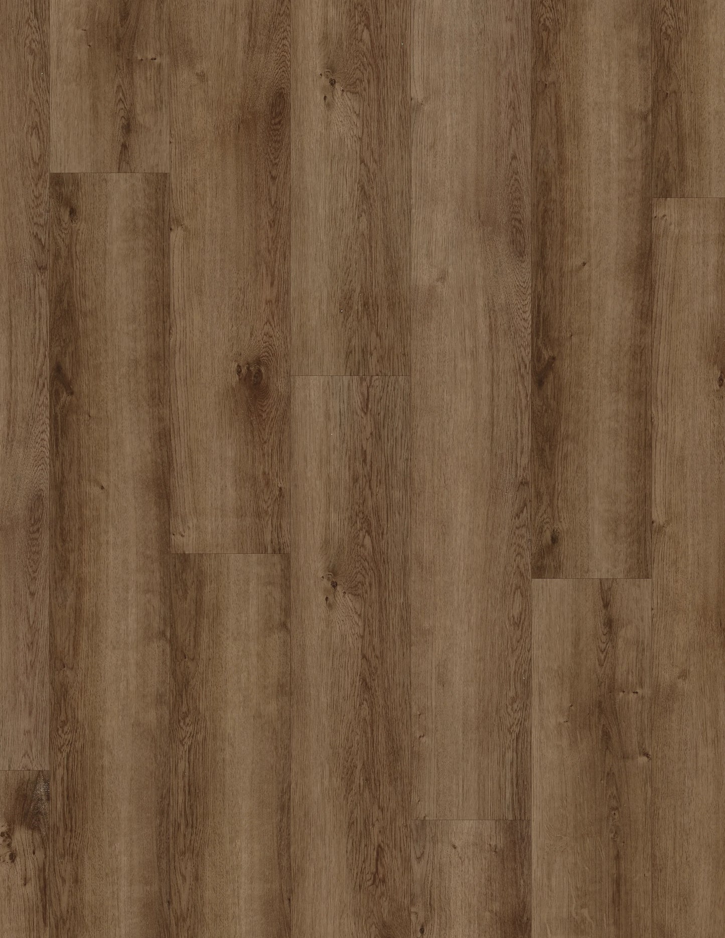 Classics | Monterey Oak Stair Tread
