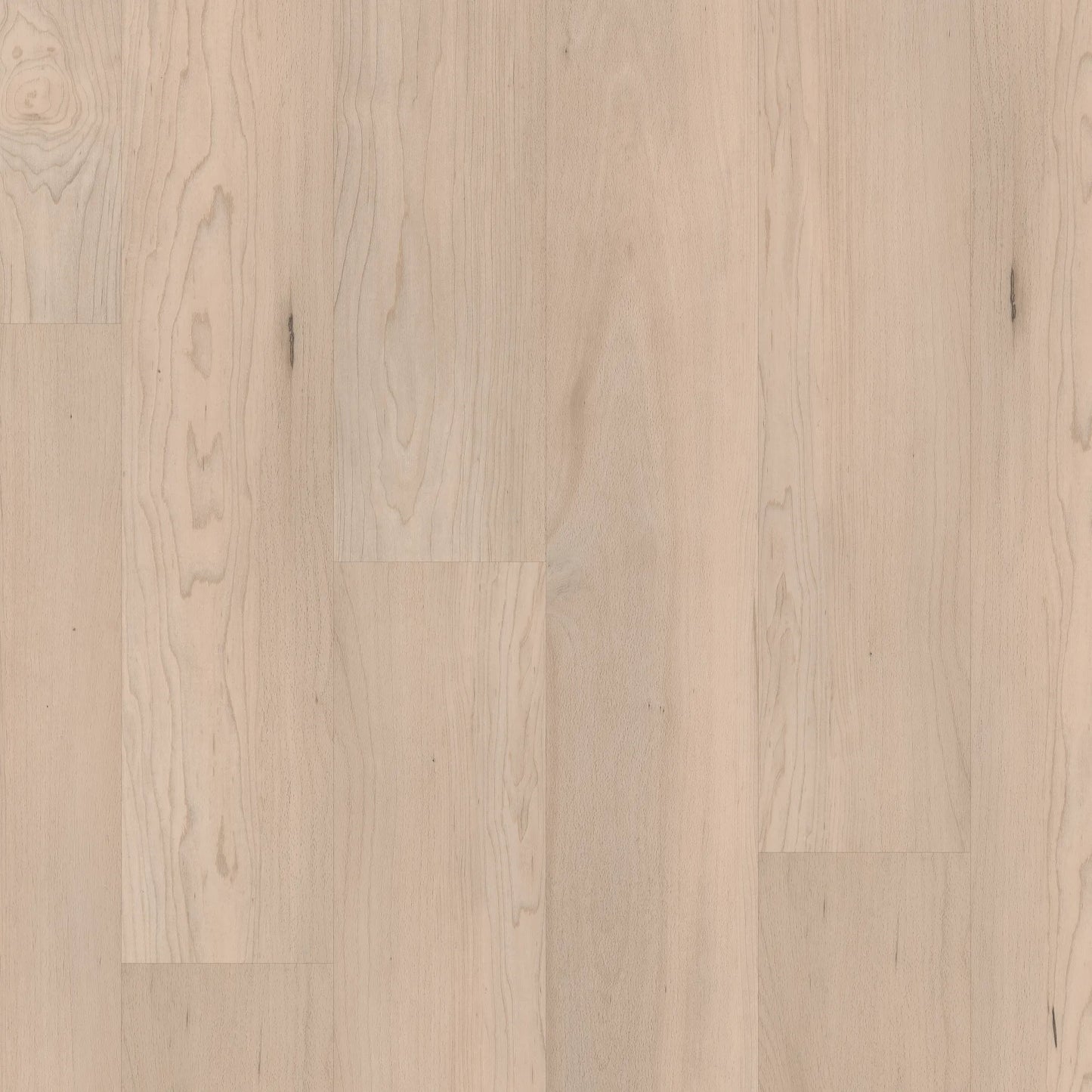 Premium | Norfolk Maple Stair Tread
