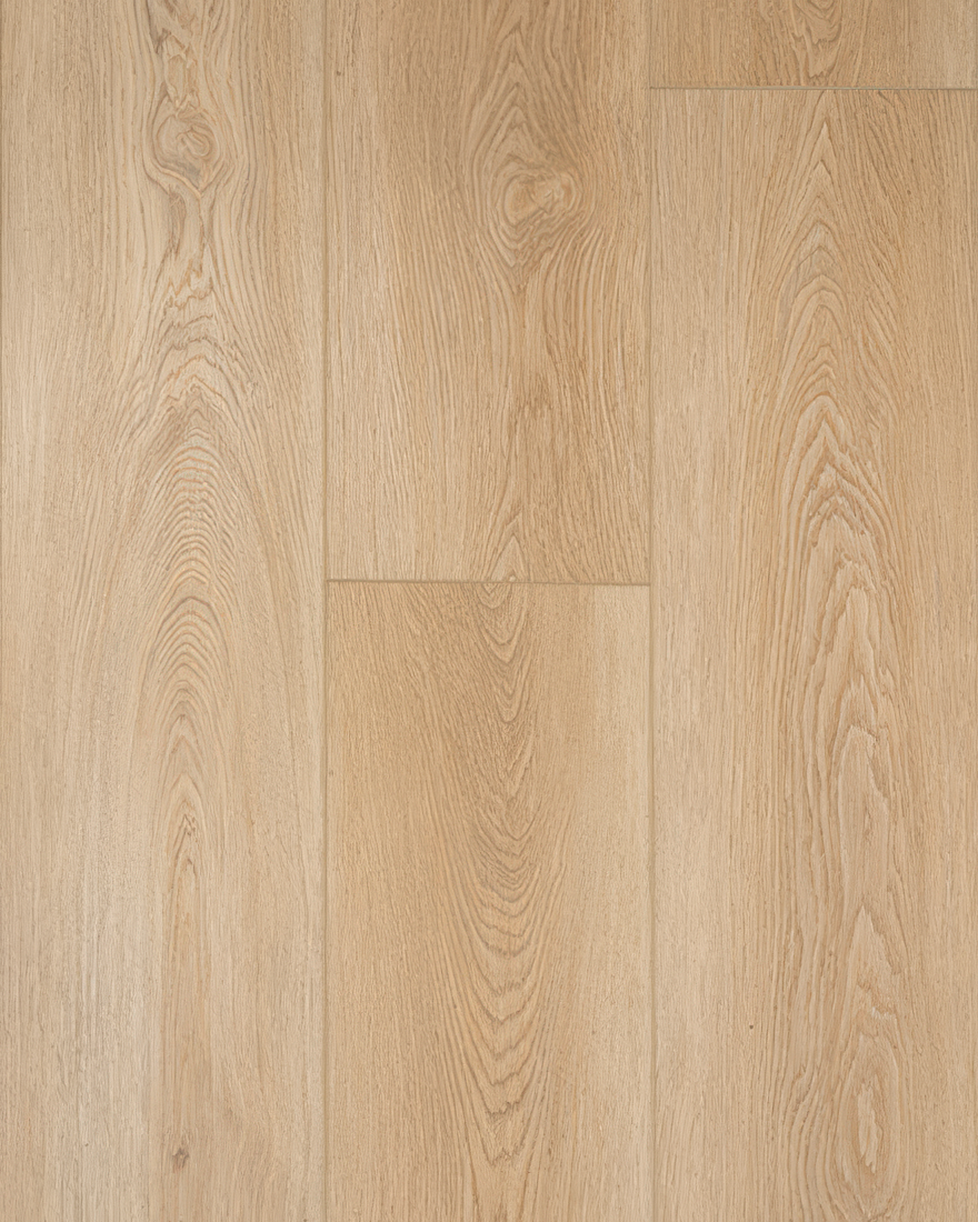 MaxCore | Moda Living | Road Trip Stair Tread