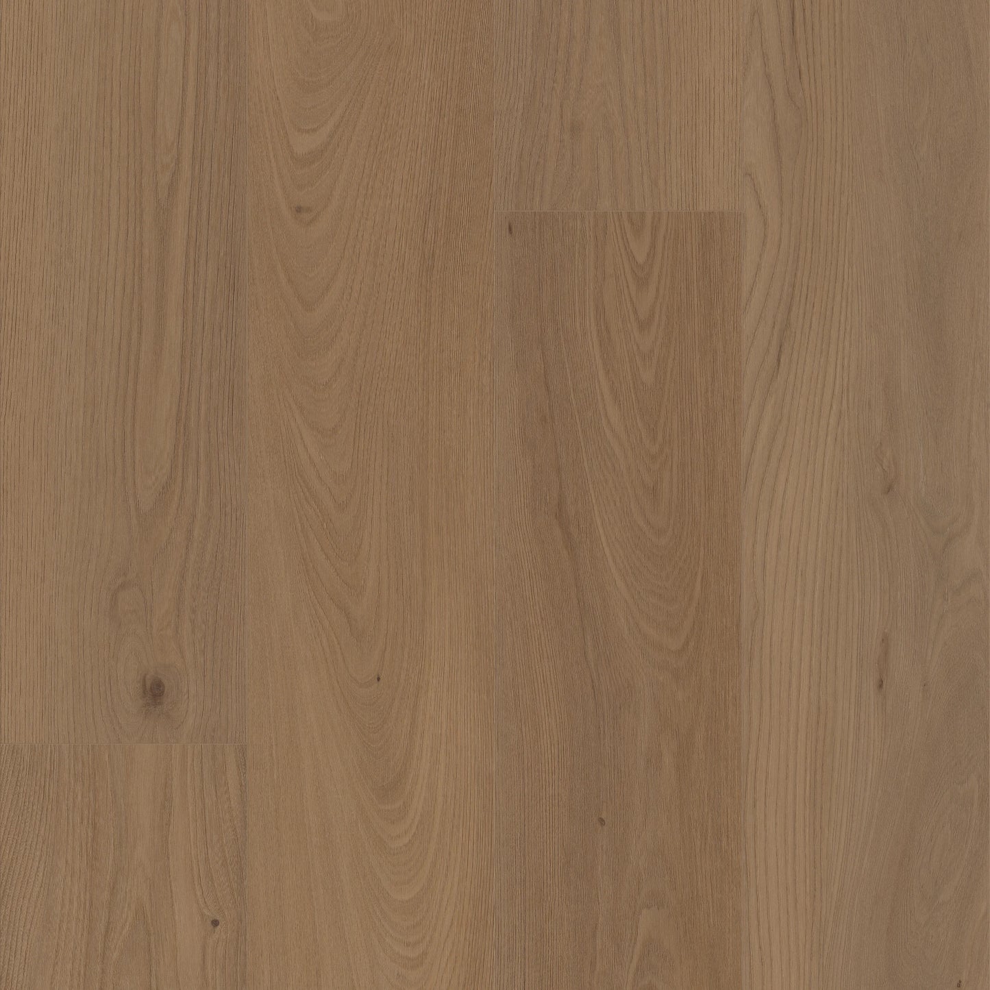 Enhanced | San Marino Elm Stair Tread