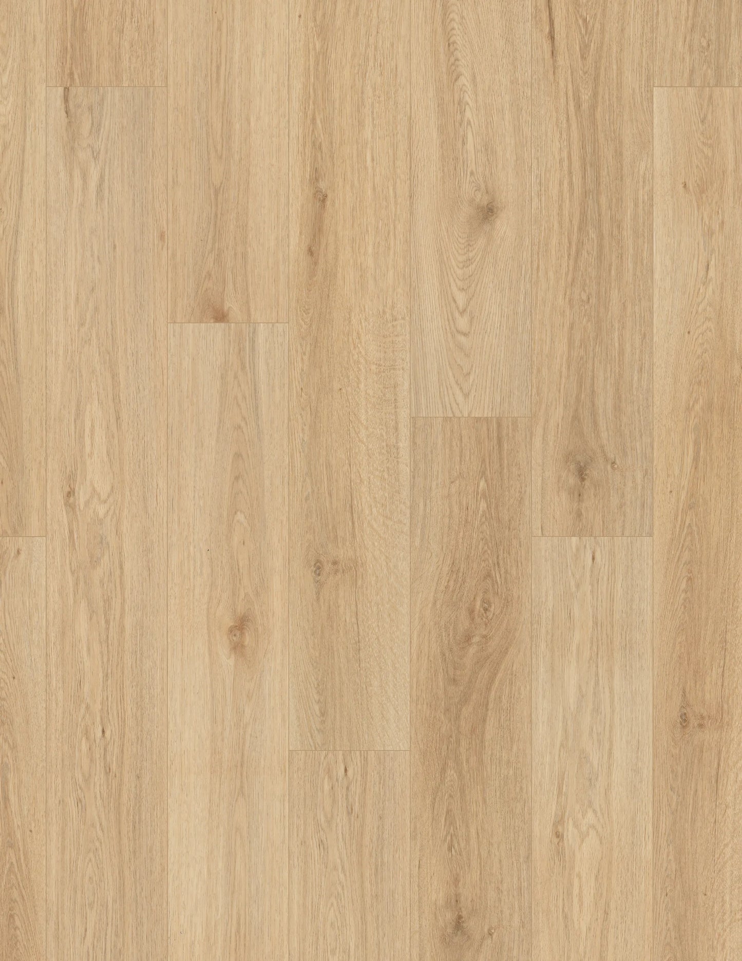 Classics | Springfield Oak Stair Tread