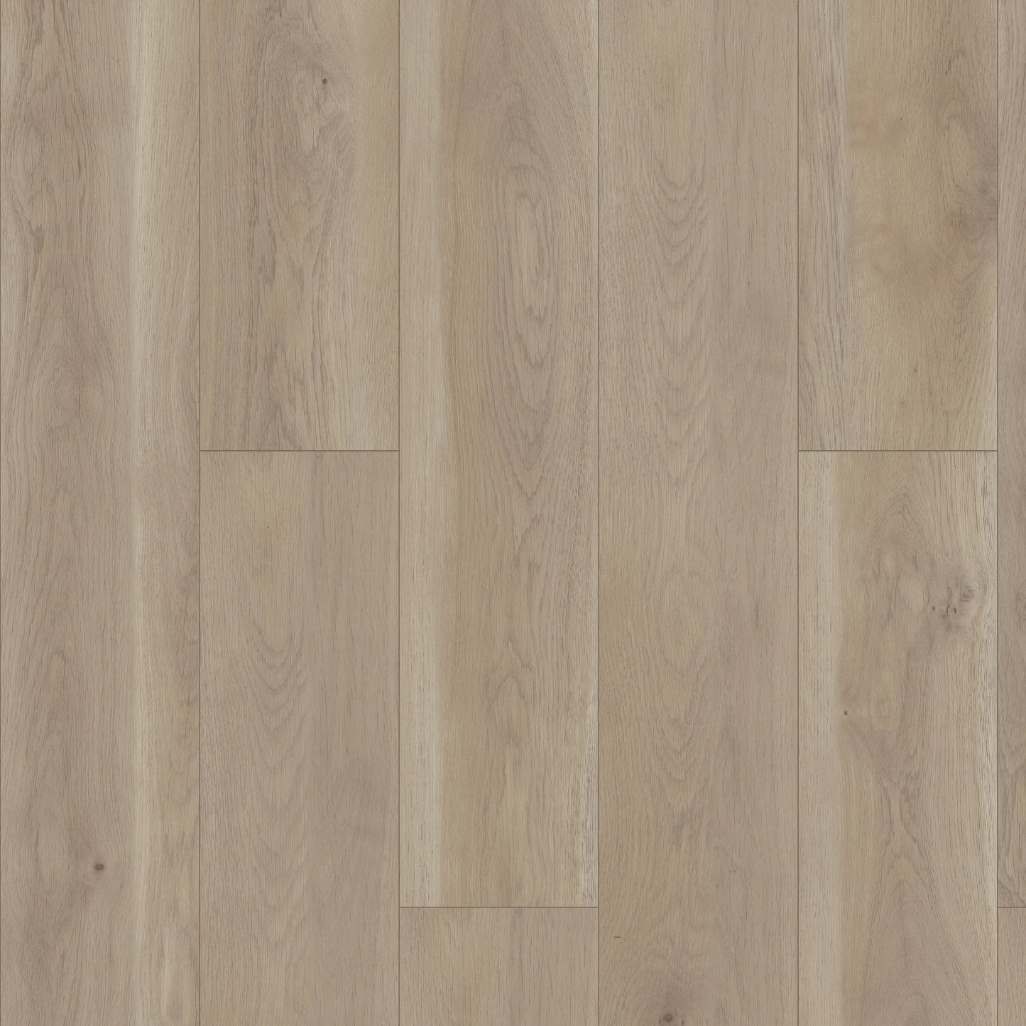 Paragon HD Plus Natural Bevel | Wisteria Stair Tread